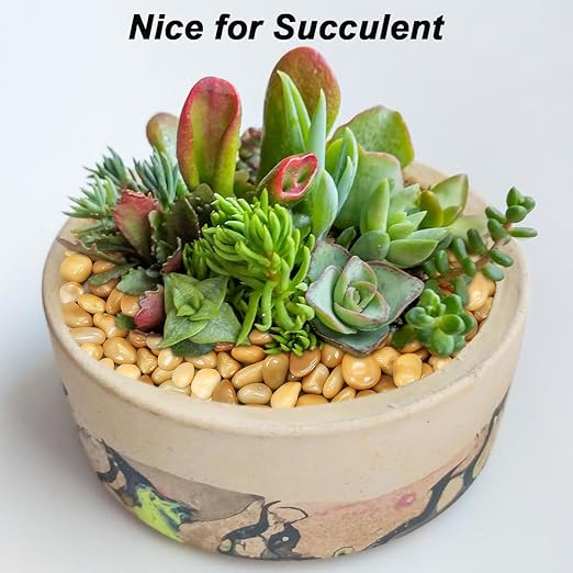 Fish Tank Rocks,Virekm River Rocks, Decorative Ornamental Pebbles Garden Landscaping Stones Gravel Filler for Home Decoration Flower Bed Fish Tank Plants Vases Succulents