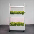 FLTRGO Hydroponic Tower Growing Sytem Hydroponics Growing System Indoor Smart Herb Vertical Garden Kit Automatic Led Grow Lights Planter for Home Kitchen Easy to Install and Operate
