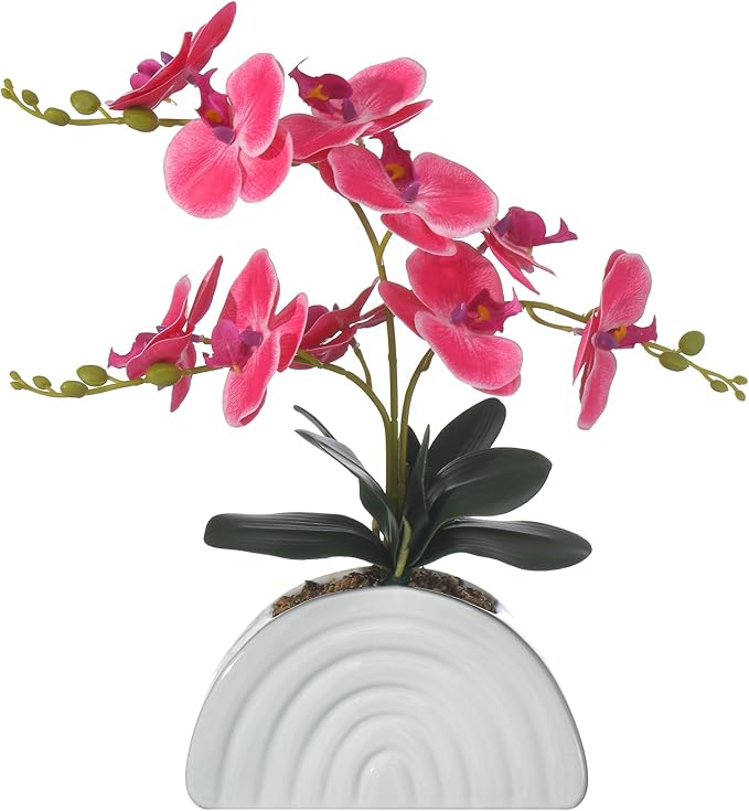 Fake Orchid Plant in White Rainbow Pot, Artificial Silk Phalaenopsis Orchid Flowers for Home Décor, Table Centerpiece, Office Desk (Rose Red)