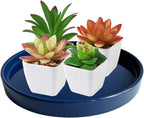 Yukfona 2 Pack Ceramic Plant Saucer Pot Tray 8 Inch, Planter Saucers 4 5 6 7 8 9 10 11 12 Inch for Indoors Outdoor, Durable Sturdy Flower Drainage Tray for Glazed Pots Base (8.5 Inch Blue)
