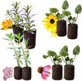 Pollinator Garden Live Plant Collection – 8 Perennial Live Plants | Butterfly Weed, Swamp Milkweed, Purple Coneflower & Black-Eyed Susan | Attract Monarchs, Bees & Hummingbirds | Native Perrenials