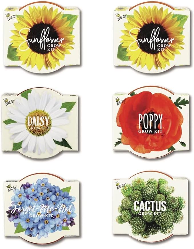 BUZZY Seeds Mini Terracotta Grow Pots Daydream Collection, Assorted 6-Pack Flower and Plant Seed Starter Kit, Indoor Gardening Gift, Holiday Present, Valentine Exchange