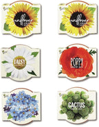 BUZZY Seeds Mini Terracotta Grow Pots Daydream Collection, Assorted 6-Pack Flower and Plant Seed Starter Kit, Indoor Gardening Gift, Holiday Present, Valentine Exchange