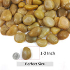 YISZM 10lbs Yellow River Rocks, 1-2 Inch Natural Pebbles for Indoor Plants, High Polished Decorative Stones Vase Filler Fish Tank Aquariums Landscaping Garden