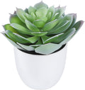 Lifelike Artificial Succulent Plants in White Large Basin - 5.5 Inch Diameter Large Flowers, Green & White, Ideal for Home and Office Table Decoration