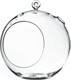 WGV Hanging Terrarium Globe, Width 8", Height 9", DIY Air Succulent Planter, Clear Glass Vase Orb with Flat Bottom, Candle Holder for Windowsill Outdoor Garden Decor, 1 Piece