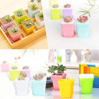 Haawooky 24 Pack Colorful Flower Pots Square Plastic Plant Pots Succulent Planter Nursery Pots with Saucers for Your Room,Garden Office and Balcony Decor