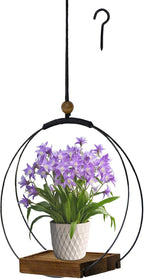 Hanging Planter for Indoor Plants, Black Plant Hanger Indoor with Sturdy Wood Base, Modern Boho Macrame Plant Hanger for 3-5.5 Inch Pot, Hanging Wall Ceiling Window Home Decor (Pots Not Included)