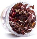 SubstrateSource Live Plant - Alternanthera Reineckii Rosaefolia Live Aquarium Plant Tissue Culture Aquatic Stem - 100% Snail Free in Vitro Cup (AR Rosaefolia)