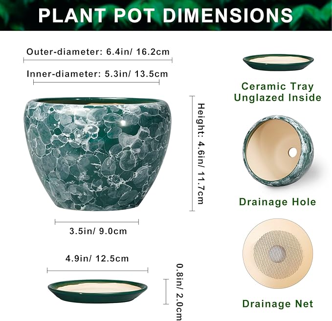 6 Inch Planter - Ceramic Plant Pots Indoor with Drainage Hole and Saucer, Indoor Plant Pots for Flowers Plants, Round Modern Small Planter, Bedroom Decor, Plants Lover Gift, Bubble Green