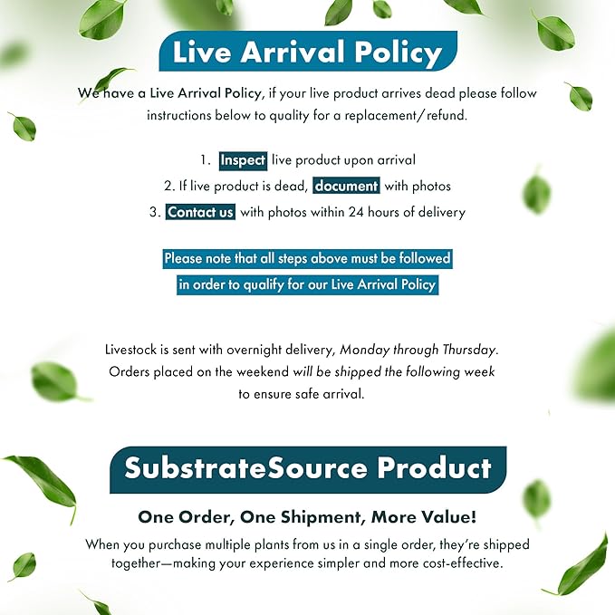 SubstrateSource Live Plants - Echinodorus ‘Red Phoenix’ (Echinodorus sp.) - Medium to High Light, Red Green, Midground to Background Placement, Freshwater Aquascaping Aquatic Plant - Pot