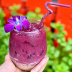 Miami Fresh Orchid Flower OrchidClub USA Sunne Tropical Loose Bloom Head DIY Lei food drink decoration (RAINBOW 50)