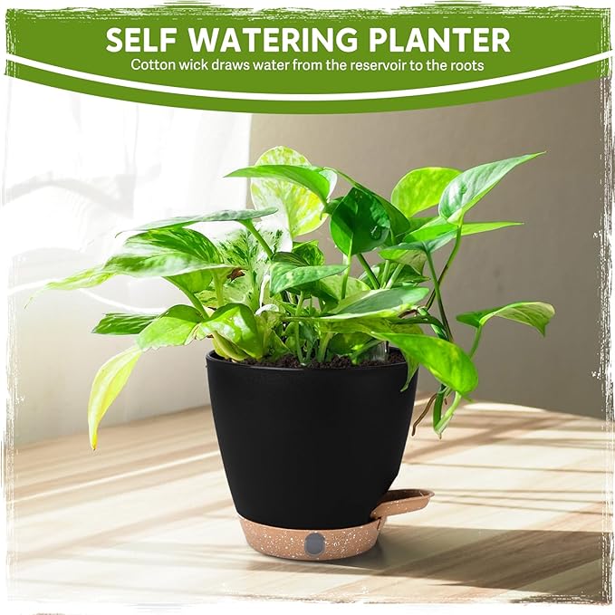 5 Pack 6 Inch Self Watering Planters for Indoor Plants, Automatic Watering Pots for Busy Plant Parents & Vacation, Decorative Modern Flower Pots with Drainage & Saucers (Black, 6 inch)