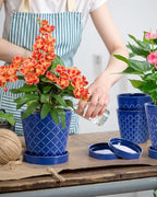 BUYMAX Ceramic Plant Pots –5 inch Indoor Flower Pot with Drainage Hole and Ceramic Tray - Gardening Home Desktop Office Windowsill Decoration Gift, Set of 4-Plants NOT Included(Blue)