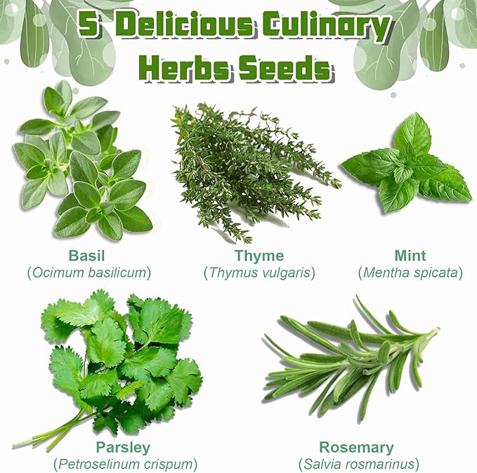Indoor Herb Garden Starter Kit, Including A Complete Gardening Tools for Women Parents Gift