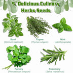 Indoor Herb Garden Starter Kit, Including A Complete Gardening Tools for Women Parents Gift