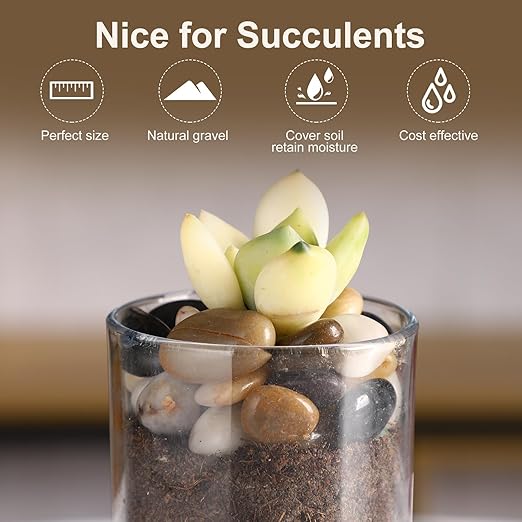 11LB Polished Natural Stone Pebbles for Outdoor Plants with Mixed Colors 1/4-5/8Inch Decorative River Rocks for Planters Small Natural Stone Gravels for Home Decoration