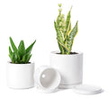 D'vine Dev White Terracotta Pots for Plants, 4.2 Inch 5.3 Inch 6.5 Inch, Succulent Planter Pot with Drainage and Saucer, 40-T-A-1
