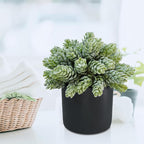 Winlyn Set of 3 Small Artificial Potted Succulent Plants Faux Aloe Hops String of Pearls Succulents in Black Cylinder Pots for Gift Home Office Bathroom Indoor Outdoor Table Shelf Windowsill Décor