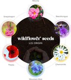 Set of 24 Yellow Bee Seed Paper – Writable & Plantable Wildflower with Envelopes & Planting Guides, Mom's Gift for Mother’s Day, Use for Wedding, Baby Shower, Party Favors & Easter Decorations