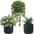 Winlyn Set of 3 Small Artificial Potted Succulent Plants Faux Aloe Hops String of Pearls Succulents in Black Cylinder Pots for Gift Home Office Bathroom Indoor Outdoor Table Shelf Windowsill Décor