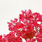 Colorsheng Feng Shui Quartz Crystal Money Tree Bonsai Style Decoration for Luck and Wealth (Red)
