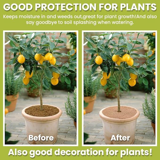 CREATCABIN 3Pcs Plant Pot Soil Cover Coco Coir Mulch Mats 35cm Tree Mulch Ring Natural Coconut Fiber Plant Cover Ring Plant Protector Mulch Mat for Sapling Root Weed Barrier Water-Proof