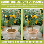 CREATCABIN 3Pcs Plant Pot Soil Cover Coco Coir Mulch Mats 35cm Tree Mulch Ring Natural Coconut Fiber Plant Cover Ring Plant Protector Mulch Mat for Sapling Root Weed Barrier Water-Proof