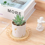 Der Rose Set of 2 Succulents Plants Artificial Mini Fake Succulents Plants for Home Office Desk Accessories for Women