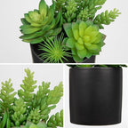 Hollyone Artificial Succulents in Pots Faux Succulents Plants Fake Succulent Arrangement Potted Plants with Black Ceramic Vase for Office Desk Bathroom Shelf Living Room Indoor Home Decor