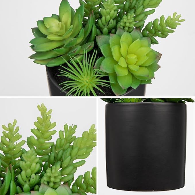 Hollyone Artificial Succulents in Pots Faux Succulents Plants Fake Succulent Arrangement Potted Plants with Black Ceramic Vase for Office Desk Bathroom Shelf Living Room Indoor Home Decor