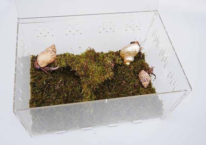 Hermit Crab Tank, Starter Cage Kit with 7 Inch Adjustable Climbing Toys and 3.5oz Substrate