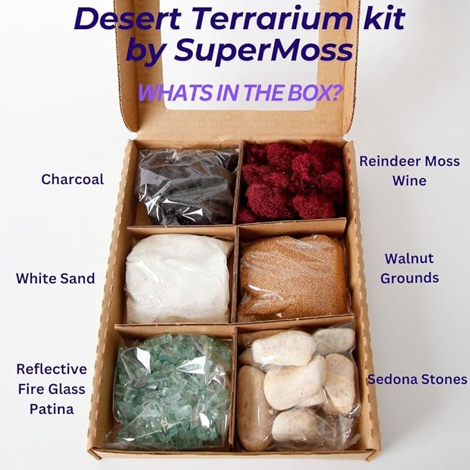 SuperMoss (90424) Desert Terrarium DIY Kit – Build Your Own Mini Desert Garden – Perfect Home Decor and Thoughtful Gifts for Plant Lovers, Appx 4 Oz