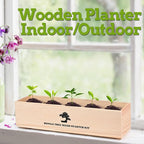 Indoor Bonsai Garden Starter Kit, 5 Seeds Growing into Red Maple, Wisteria, Black Pine, Judas Tree, Acacia, Including Complete Gardening Planters & A Planter Box for Women