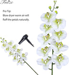 Fnize Faux Orchid Stems Real Touch Artificial Phalaenopsis Flowers Latex Petals 38 Inches 2pcs (Green White)