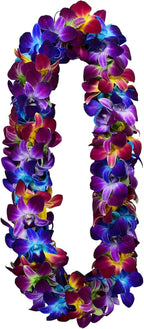 Miami Fresh Orchid Flower OrchidClub USA Sunne Tropical Loose Bloom Head DIY Lei food drink decoration (RAINBOW 50)