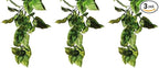 Exo Terra Plastic Terrarium Plant, Large, Amapallo (Pack of 3)