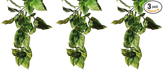 Exo Terra Plastic Terrarium Plant, Large, Amapallo (Pack of 3)