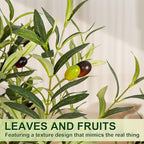 VIVATREES Olive Trees Artificial Indoor, 5FT Tall Faux Olive Tree with White Tall Planter, Artificial Plants with Natural Wood Trunk and Lifelike Fruits for Home Office Decor