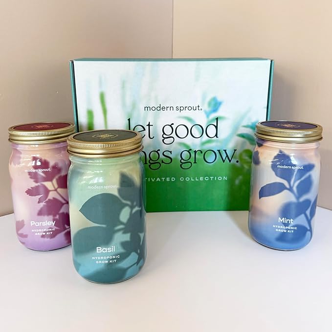 Modern Sprout Garden Jar Gift Pack - Self-Watering Hydroponics Growing System Kit with Organic Herb Seeds - Seed Starter Kit for Indoor Herb Garden - Home Decor & Gifting - Basil, Parsley & Mint