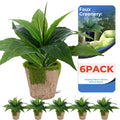 6 Pack Artificial Agave Plants Outdoor & Indoor, 11 Inches Faux Agave Plants,Not Prone to Fading Artificial Outdoor Plants for Garden, Patio, Porch, Desk Decor Excluding the Flowerpot