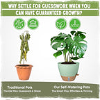 Self-Watering Pots for Indoor Plants 4 Pack, 6/8/10/12 Inch Outdoor Planters with Water Level Indicator&Deep Reservoir, Decorative Flower Pots for Indoor Plants,Home Decor (Green, 12+10+8+6 inch)