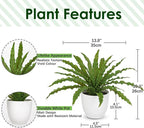 GnFlus Artificial Fern Plant in White Pot, 11 Inch Fake Bird’s Nest Ferns Plants Faux Potted Fern Plants for Home Living Room Bathroom Kitchen Office Table Indoor Decor