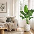 Birds of Paradise Plant Artificial, 4FT Fake Plants Faux Banana Leaf Tree with 9 Banana Leaves, Lifelike Tall Fake Tropical Palm Indoor Silk Floor Plant in Black Pot for House,Office,Room,Home Decor