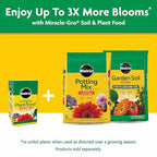 Miracle-Gro Water Soluble All Purpose Plant Food - Fertilizer For All Indoor or Outdoor Plants including Roses, Flowers, Vegetables, Houseplants, Trees, and Shrubs, 3 lbs.