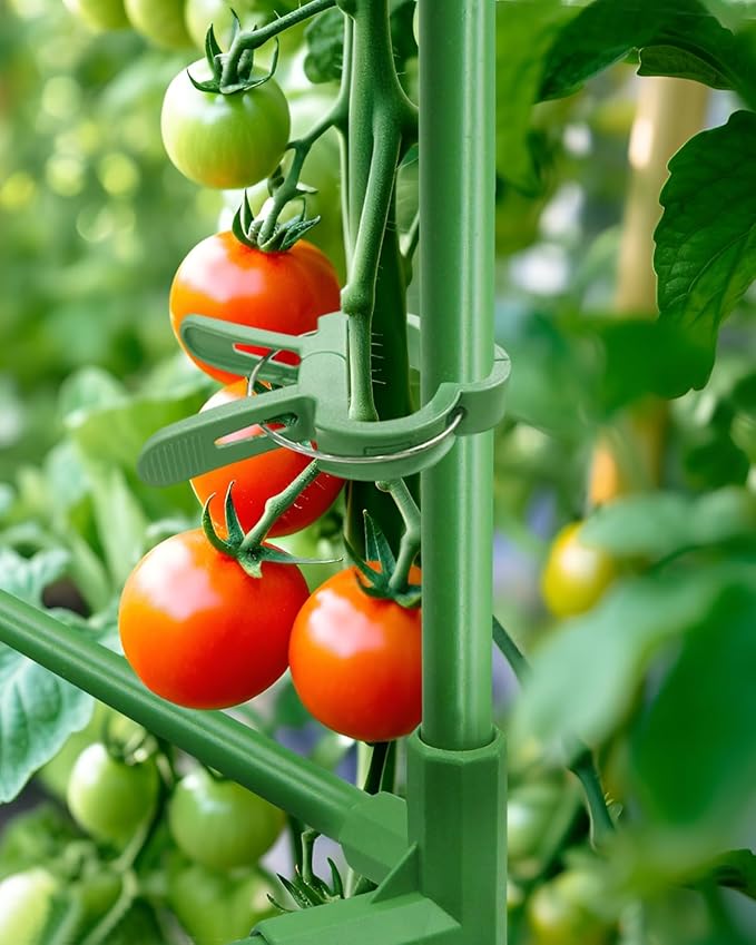 MYMULIKE 6 Pack Tomato Cage, Square Tomato Cages for Garden, Plant Trellis for Pots, Raised Garden Bed, Plant Support Stakes- 20 Clips Included