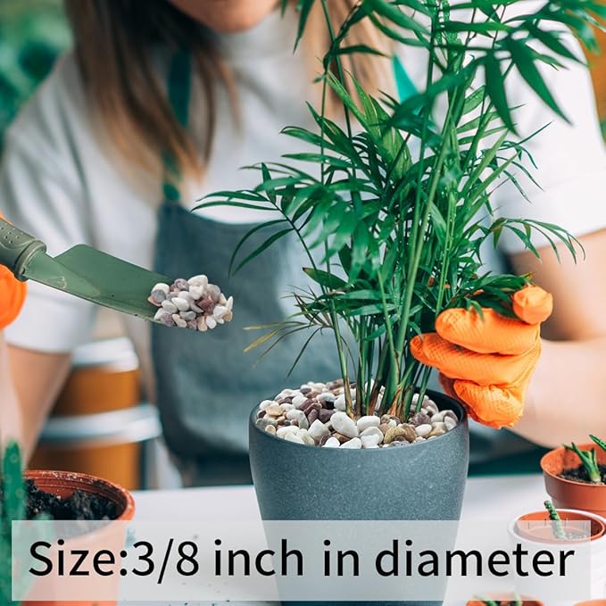 FANTIAN 10 lbs Colorful Pebbles Pea Gravel for Landscaping, 3/8 Inch Decorative River Rocks for Plant Indoor Succulent Cactus Vase Garden and Plant Pots