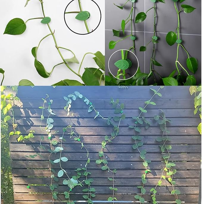 60PCS Plant Climbing Wall Fixture Clips Self-Adhesive Plant Fixer Invisible Leaf Shaped Wall Vines Fixing Clips Hook Plant Vine Traction for Home Decoration and Cable Wire Fixing