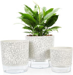 Self Watering Pots for Indoor Plants, 6 & 5 & 4 Inch Stylish Flower Pots, Set of 3 Modern Planters with Self-Watering Feature (Crack Texture)