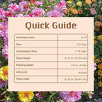 15000+ Portulaca Grandiflora Moss Rose Seeds Mixed Color Spreading for Planting Mexican Sun Rose Rock ROS Heat & Drought Tolerant Ground Cover Plant
